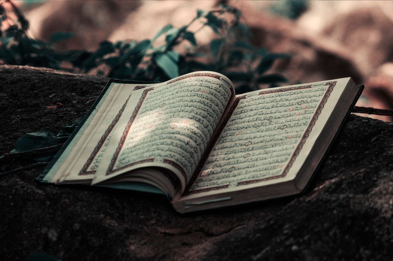 An open Quran resting on a rock with natural surroundings, symbolizing peace and spirituality.